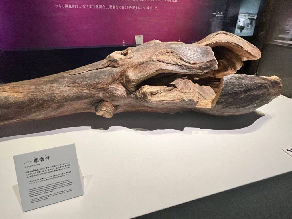 蘭奢待